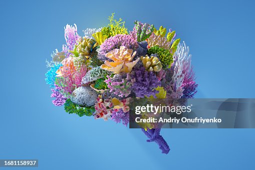Flower brain Flower brain