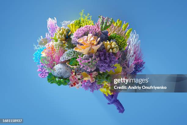 flower brain - brain thinking goal setting bildbanksfoton och bilder