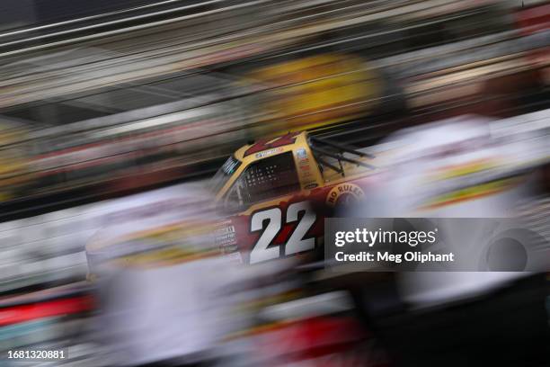 35 Stephen Mallozzi Stock Photos, HighRes Pictures, and Images Getty