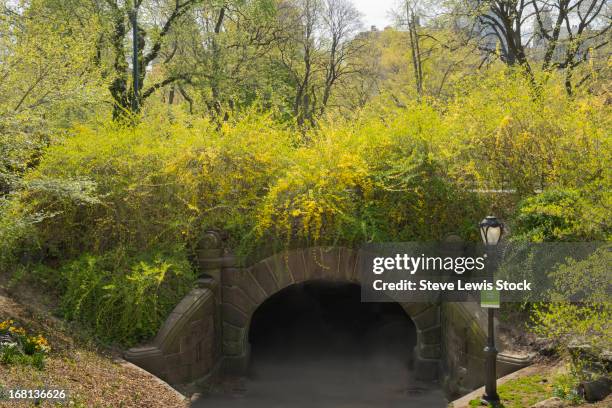 Trefoil Railing Trefoil Arch Photos and Premium High Res Pictures - Getty Images