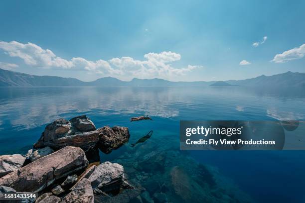 woman diving in to serene mountain lake - crater lake stock pictures, royalty-free photos & images
