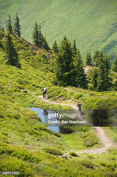 mountain bikers in the alps - leogang stockfoto's en -beelden