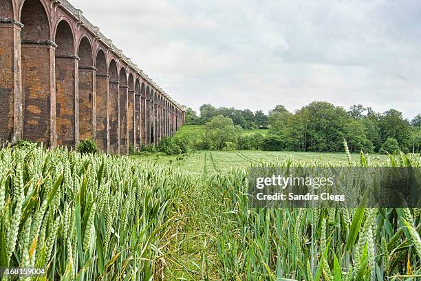 ouse valley viaduct - balcombe stock pictures, royalty-free photos & images
