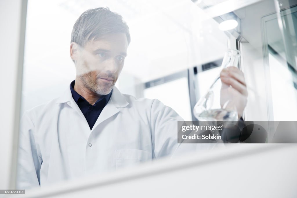 Scientist working in laboratory