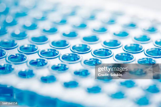 pipetting plate with samples - medical sample stock pictures, royalty-free photos & images