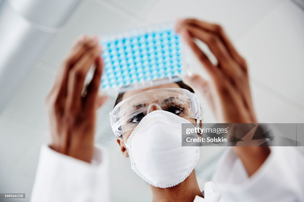 Woman examining laboratory samples