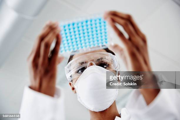 woman examining laboratory samples - científico - fotografias e filmes do acervo