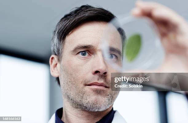 scientist examining a green leaf in laboratory - botaniste photos et images de collection