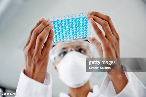 woman examining laboratory samples - biotechnology fotografías e imágenes de stock