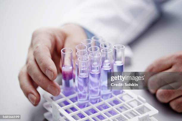 hands on laboratory samples in glass tubes - biotechnology fotografías e imágenes de stock