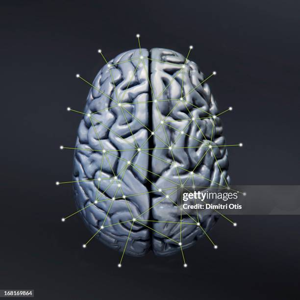 Brain Tracks Brain Pathway Photos et images de collection - Getty Images