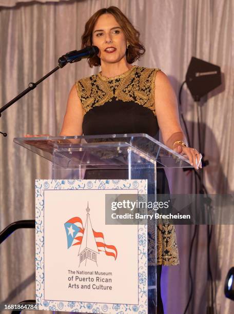 Emcee Ana Belaval of WGN-TV during the National Museum Of Puerto Rican Arts & Culture 10th Annual Raices Gala at the Galleria Marchetti on September...