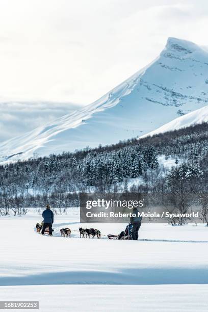 hikers dog sledding exploring the arctic landscape - eskimo dog stock pictures, royalty-free photos & images