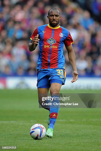 Danny Gabbidon of Crystal Palace during the npower Championship match between Crystal Palace and Peterborough United at Selhurst Park on May 04, 2013...