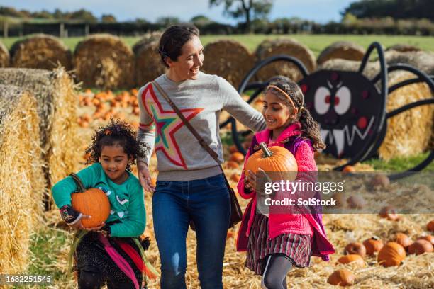 family fun at the pumpkin fields - child curiosity stock pictures, royalty-free photos & images