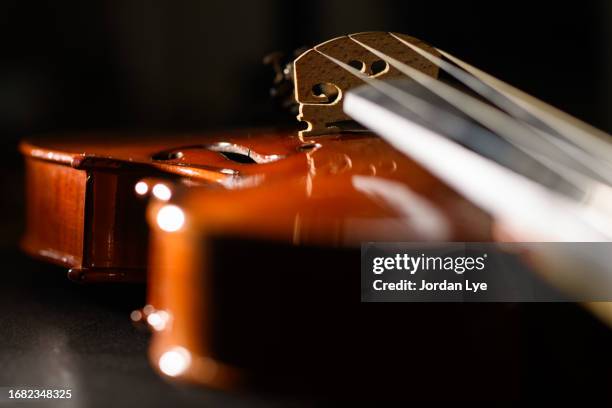 violin on a black background - viola musical instrument stock pictures, royalty-free photos & images