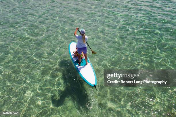 paddleboarding, australia - oar stock pictures, royalty-free photos & images