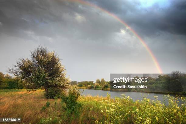 Spring Night Rain 42 Happy Rain On A Spring Night Stock Photos, High-Res Pictures, and ...