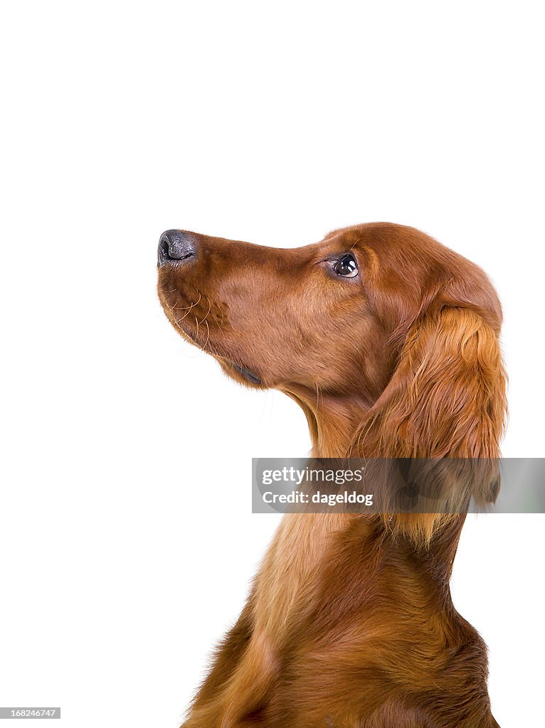 Und jetzt müsst ihr aufpassen!