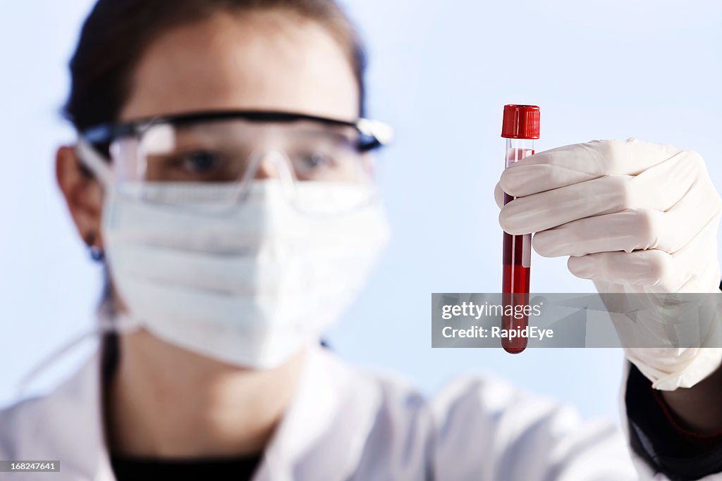 Intenção jovem cientista olhando-amostra de sangue
