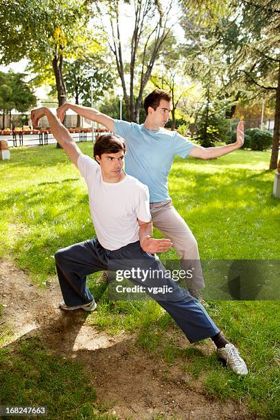 tai chi: two men practicing outdoor - kung fu pose stock pictures, royalty-free photos & images