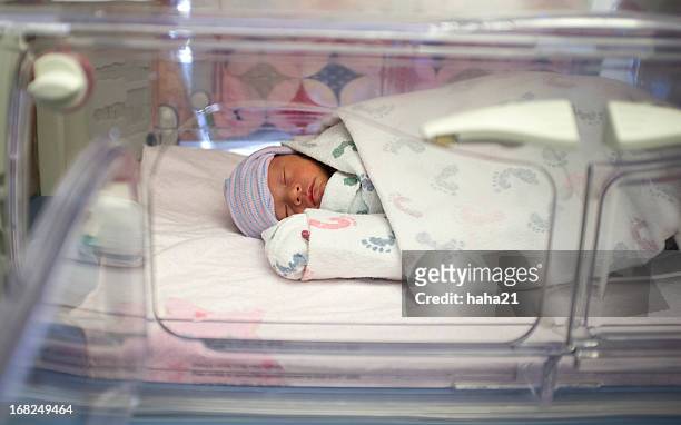 premature biracial baby in hospital incubator - incubator stock pictures, royalty-free photos & images