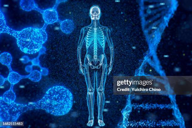 Dna Body Scan Molecular Scan Photos and Premium High Res Pictures - Getty Images