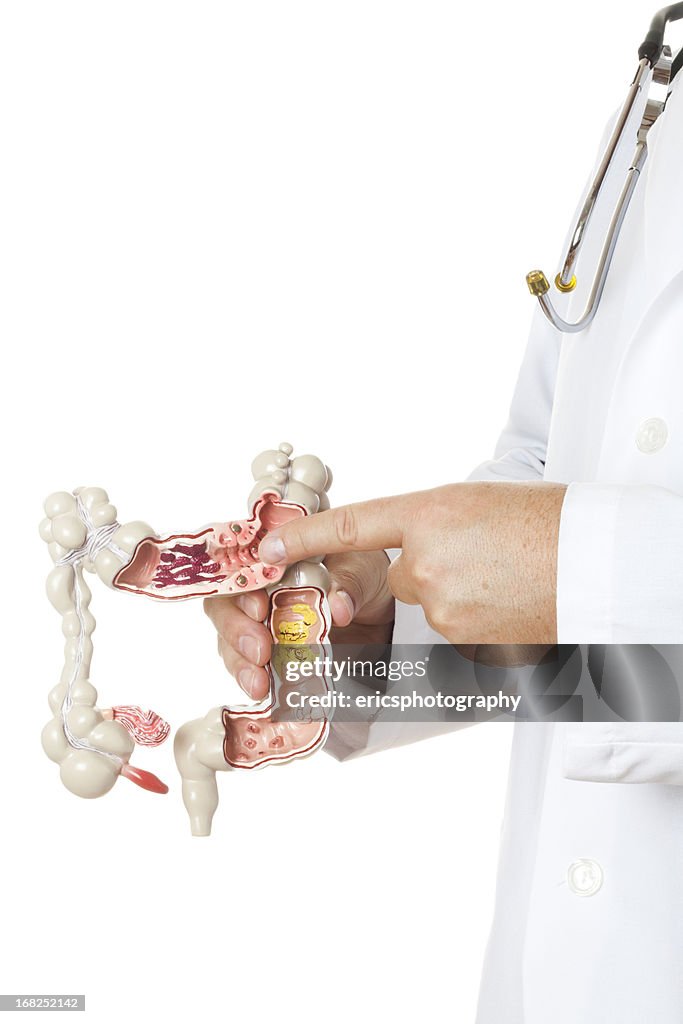Gastroenterologist no fundo branco