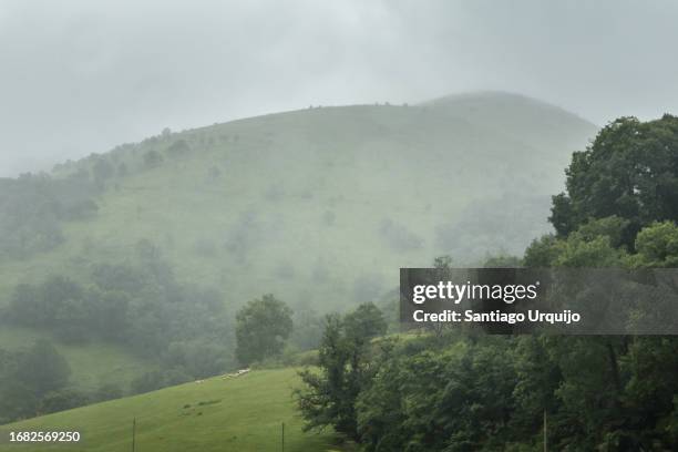 mountains shrouded in fog - baskenland stock-fotos und bilder