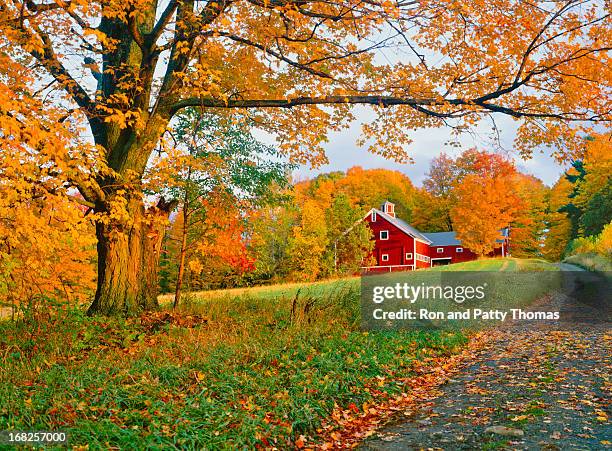 a stunning park in vermont in autumn - vermont stock pictures, royalty-free photos & images