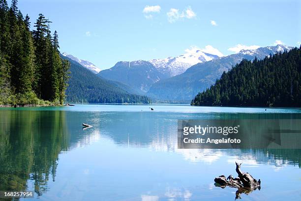 scenic photo of the calm cheakamus lake - vancouver stock pictures, royalty-free photos & images