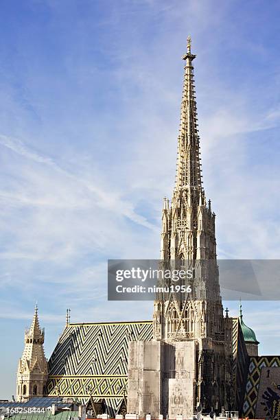 st stephens cathedral in vienna - st stephens cathedral vienna stock pictures, royalty-free photos & images