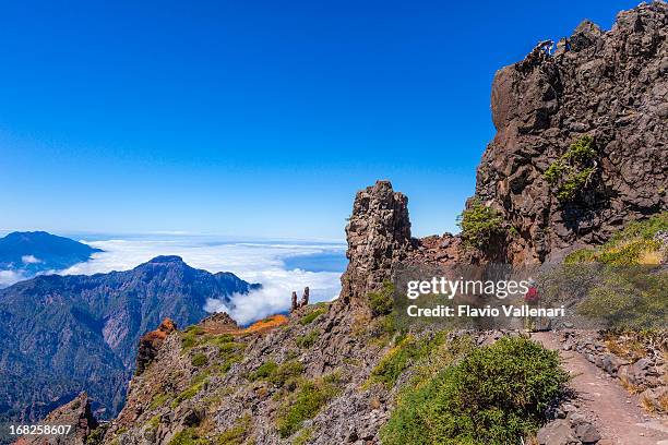 footpath in the caldera de taburiente national park, la palma - canarische eilanden stockfoto's en -beelden