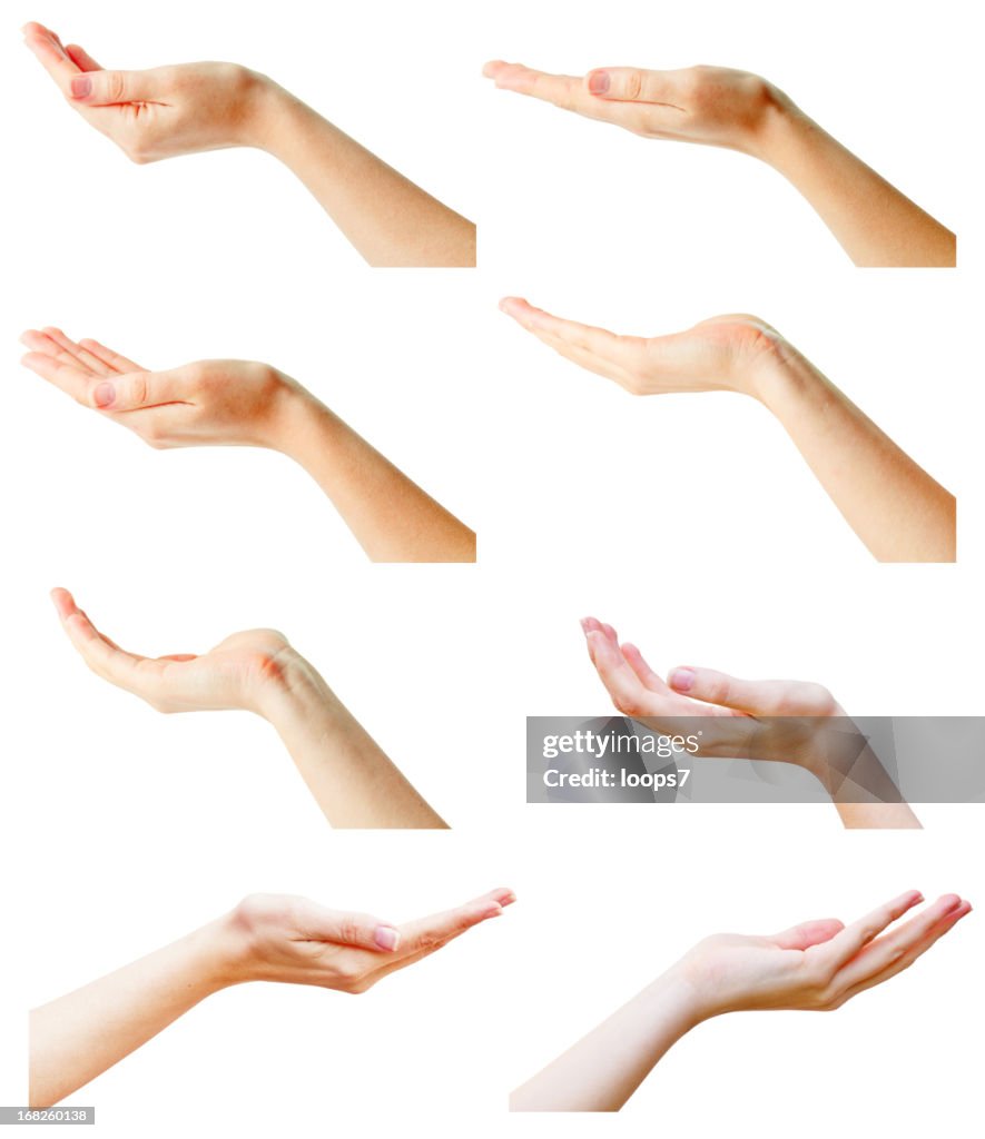 Female hands collection