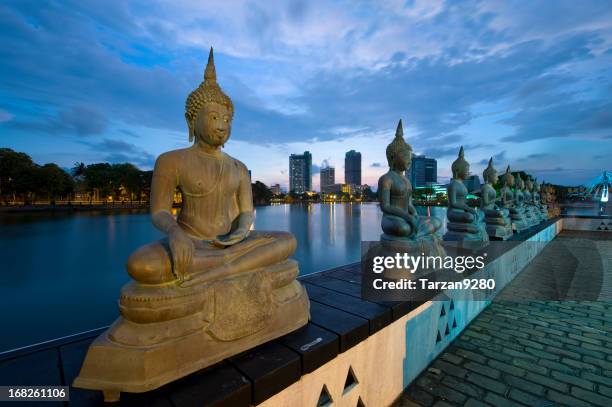 buddha statues at night - colombo stock pictures, royalty-free photos & images