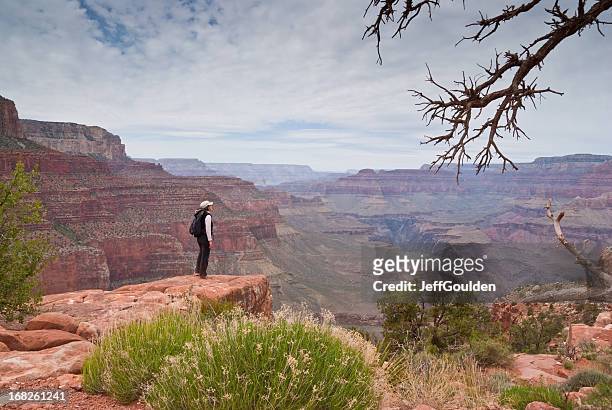 young woman hiker standing on the canyon rim - flagstaff arizona stock pictures, royalty-free photos & images
