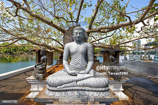 buddha statue under big tree - statue stock pictures, royalty-free photos & images