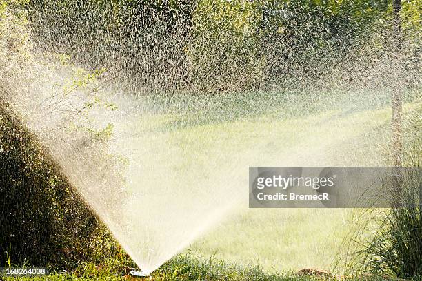 pulverización de riego de césped - sprinkler system fotografías e imágenes de stock