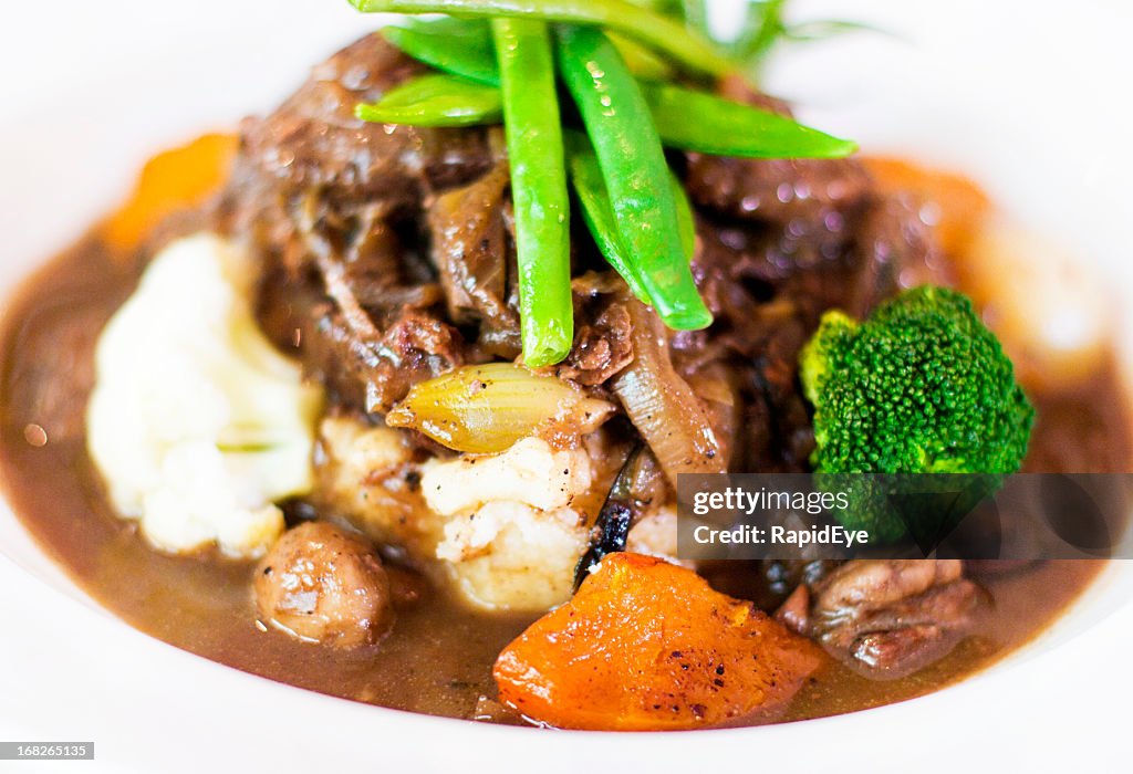 Delicious looking plate of beef stew with vegetables