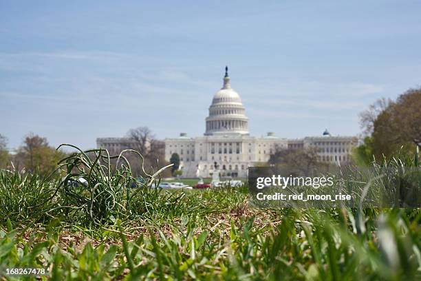 grass root politics - marketing no advertising campaigns stock pictures, royalty-free photos & images