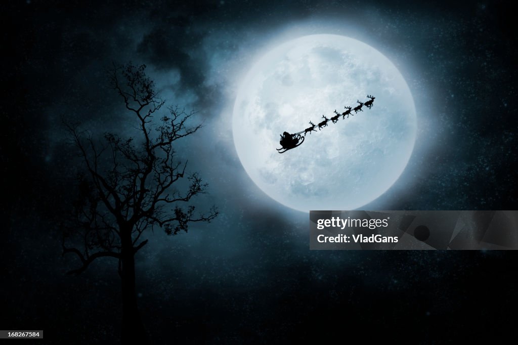 Christmas Flight