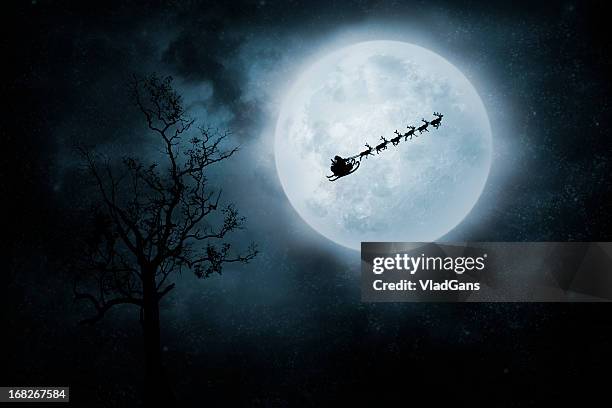 voo de natal - sleigh - fotografias e filmes do acervo