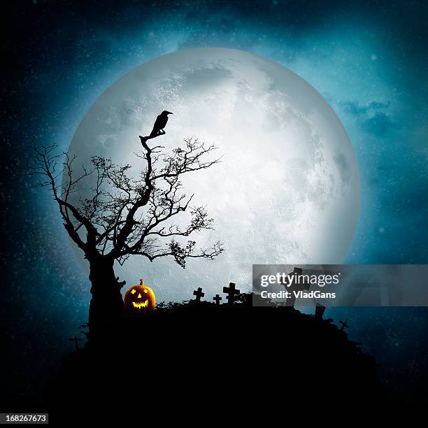 jack o'lantern - dead crow stock-fotos und bilder