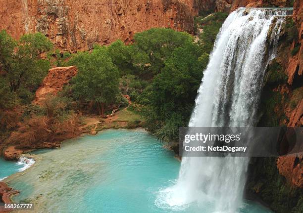 marvelous havasu fall, arizona - havasu falls stockfoto's en -beelden