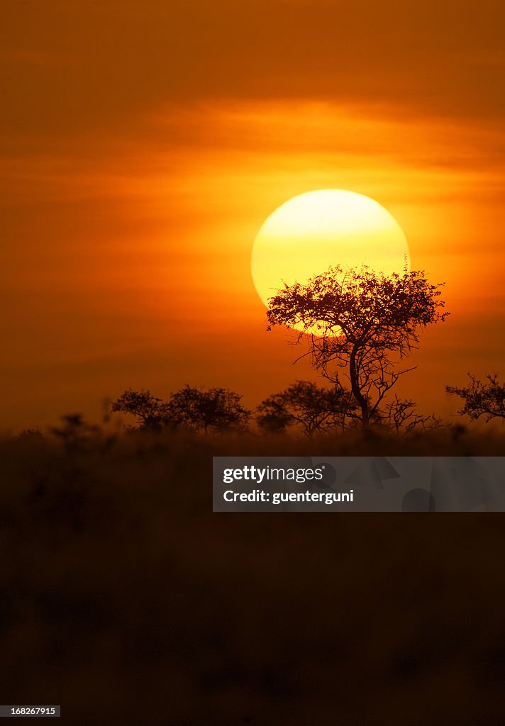 Sunset after a Safari-day in East Africa