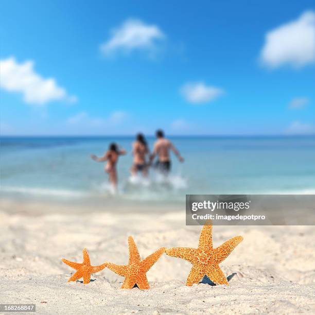 tre stelle marine vacanza in famiglia sulla spiaggia - clear water foto e immagini stock