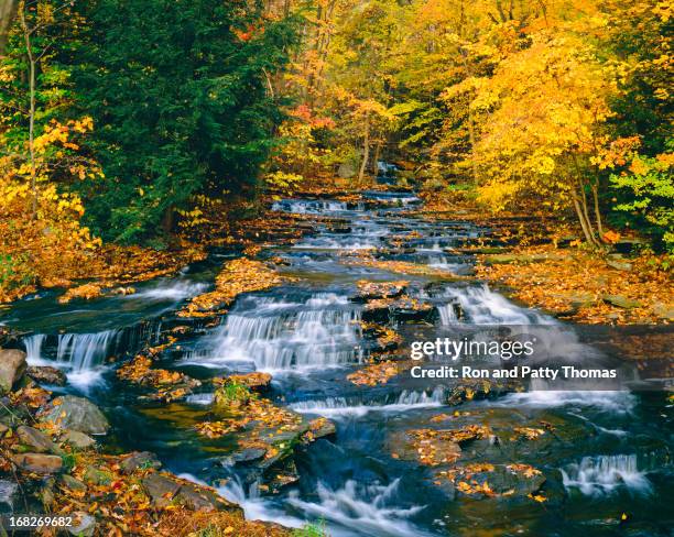 autumn country side in connecticut - connecticut stockfoto's en -beelden