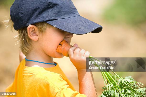 little boy eating carrot - fabio filzi stock pictures, royalty-free photos & images