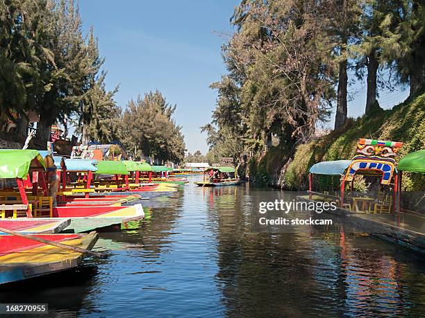 trajinera boats in xochimilco, mexico city - xochimilco stock pictures, royalty-free photos & images