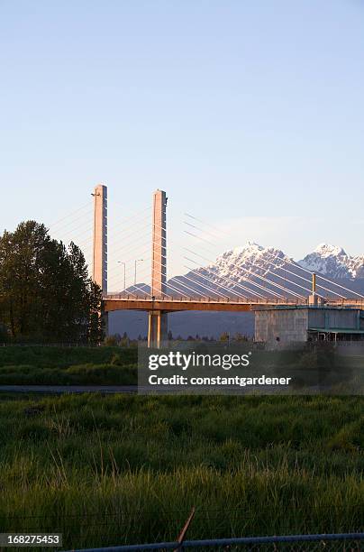golden ears bridge langley in the evening - langley british columbia stock pictures, royalty-free photos & images